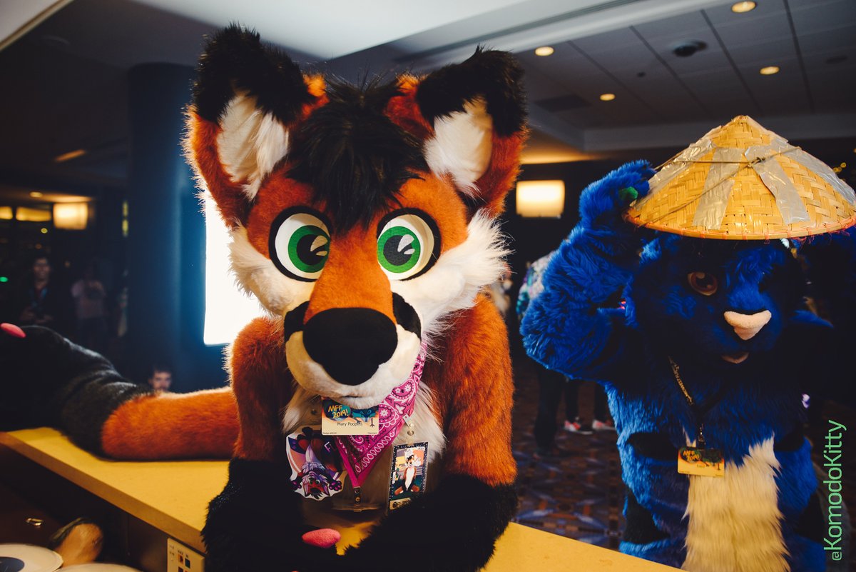 KomodoKitty's tweet photo. So Sunday night at #FurFest, I find myself yelling at fursuiters with a dozen other photographers, whilst the Initial D soundtrack blasts out of a tinny speaker. Basically the most wonderful thing in the world.
#Asianphotobooth #MFF2019
Full Album: https://t.co/1Z1XDPZnHm https://t.co/9JhzSJVuiS