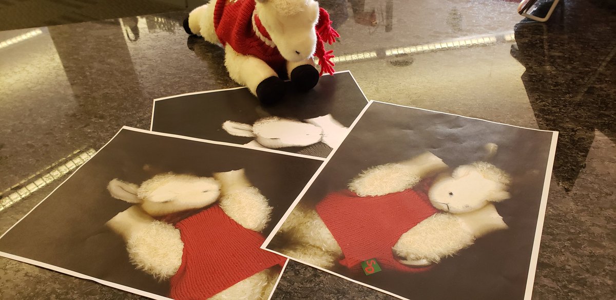 When Tami and I came in this morning we were greeted by the sight of Larry with Xerox copies of himself. #larrylibraryllama