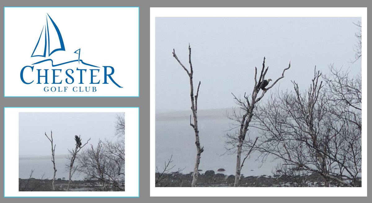 It might be snowing... but there is an Eagle on number 1!