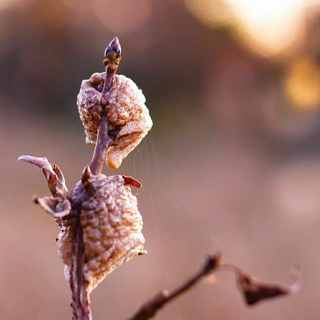 Carson Riutta tweet media