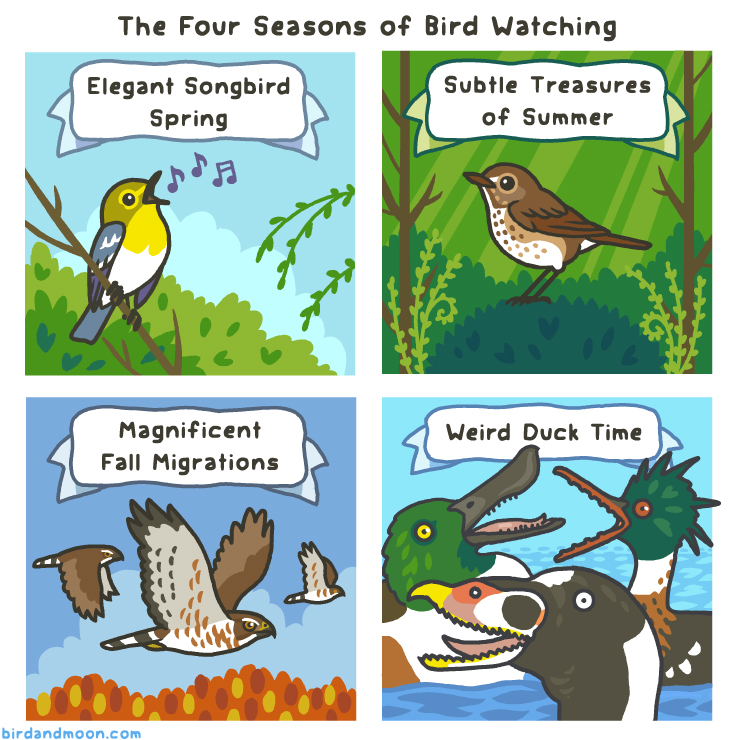 Rosemary Mosco (Bird And Moon Comics) on Twitter: "The four seasons of bird  watching. https://t.co/8Y8K5OCxIM https://t.co/9I08LxjSTn" / Twitter