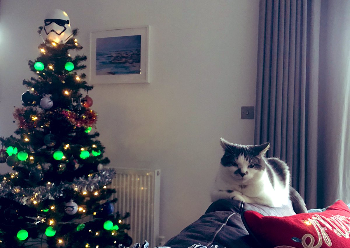 KarenJ_Lindsay's tweet photo. #Day342 #DailyMusings2019
View from the sofa 🛋🤧
#selfcare #maytheforcebewithyou #troopertree https://t.co/nJVxMd4kCM