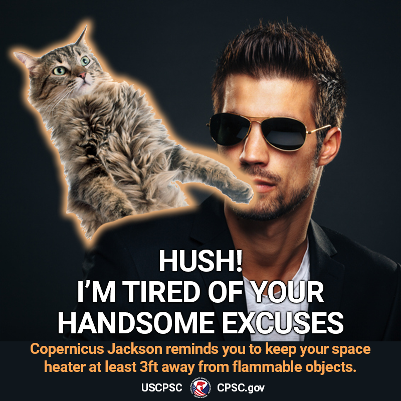 A cat named Copernicus Jackson placing their paw over the mouth of a handsome man in sunglasses. The text reads: Hush! I'm tired of your handsome excuses. Copernicus Jackson reminds you to keep your space heater at least 3ft away from anything flammable.