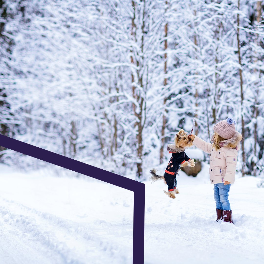 You deserve a break without breaking the bank. Let us help you ✨#london #londonpluscreditunion #londoncredit #londonloans #loans #winterholiday #winter #holiday #savings #finance #budget #credit #debit #money #debt #creditloans