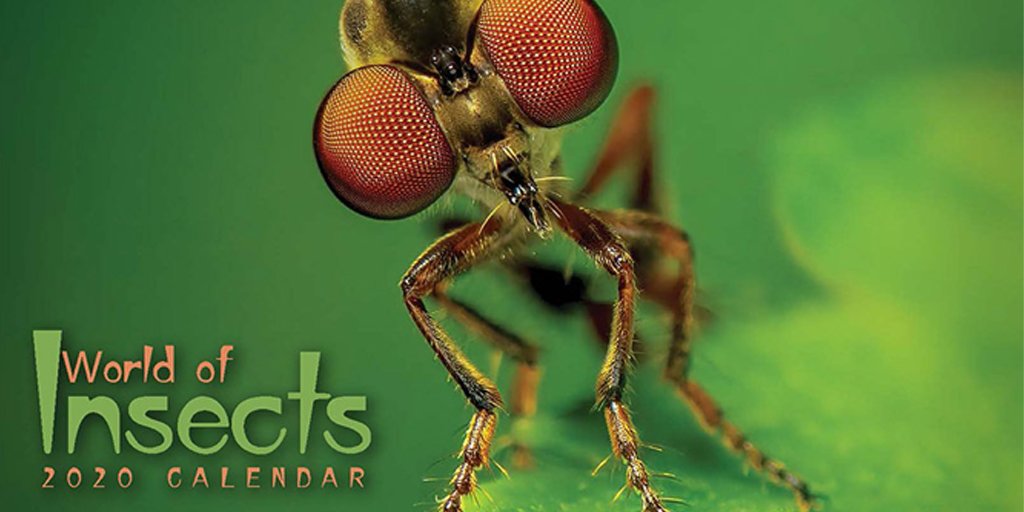 Do you have your 2020 calendar yet? Order the 2020 World of Insects calendar with 14 stunning images: https://online.entsoc.org/esassa/ecssashop.show_product_detail?p_product_serno=644&p_mode=detail&p_cust_id=&p_session_serno=194928&p_trans_ty=&p_order_serno=&p_promo_cd=&p_price_cd=