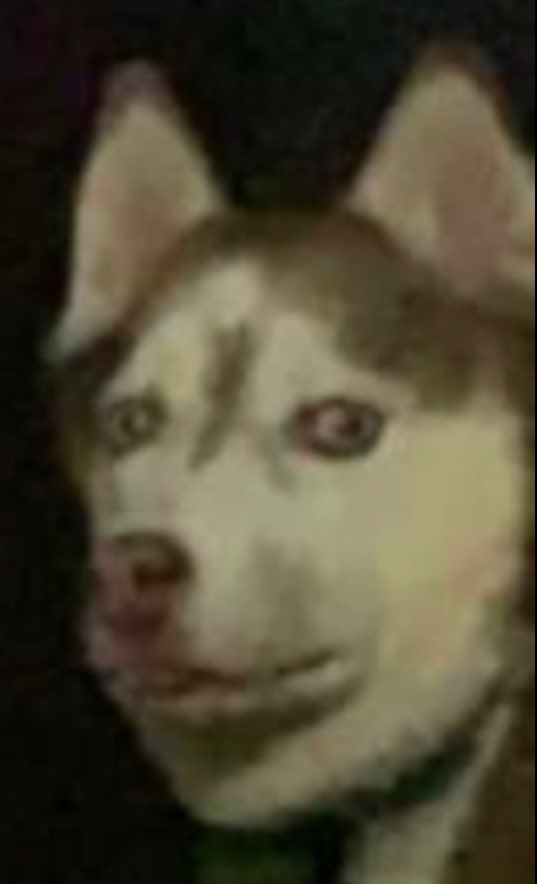 HunrNicholson's tweet image. When the quiet kid starts mumbling to himself and reaches for his jansport. #mav #maverick