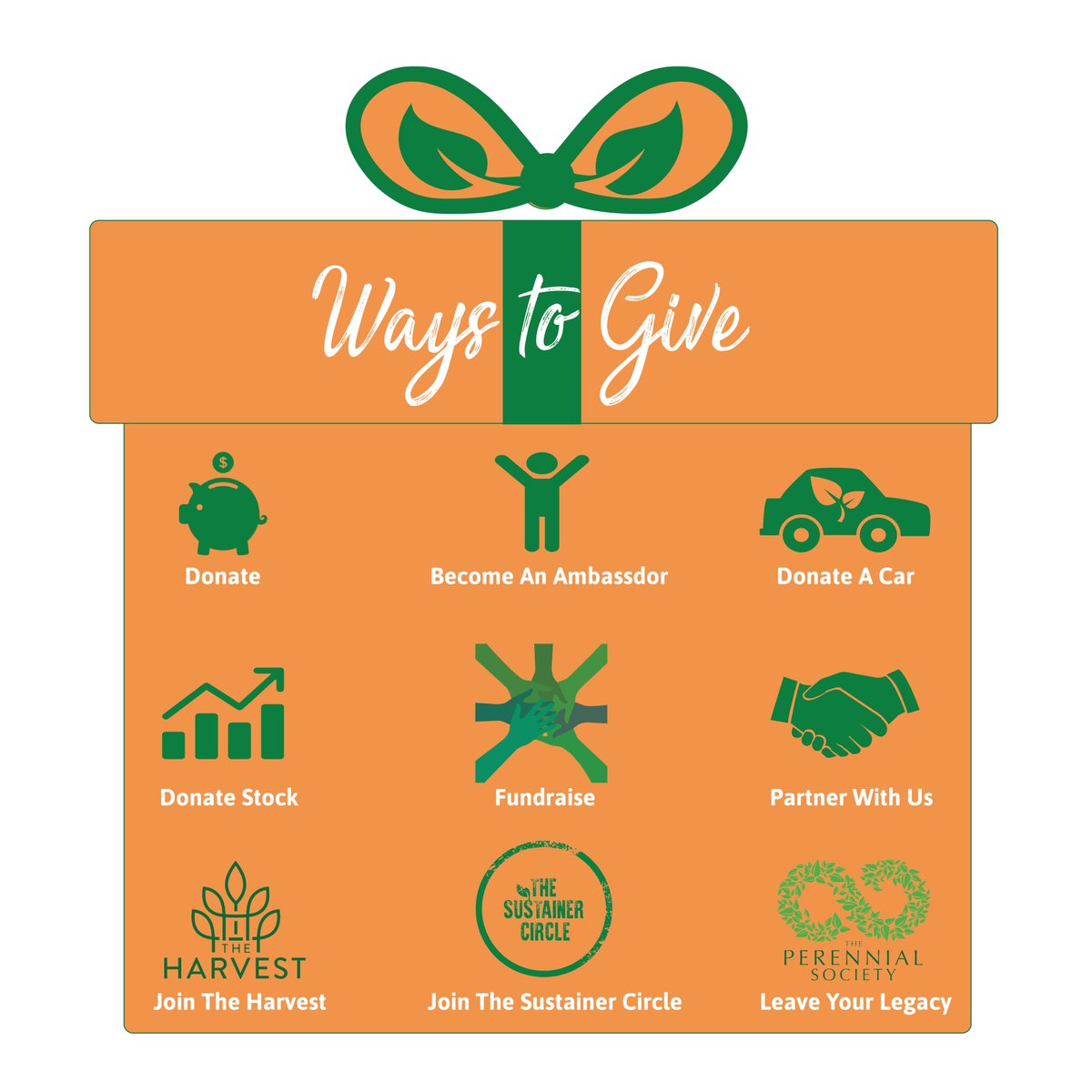 Treesftf's tweet photo. There's more than one way to give to @Treesftf!

Learn more about the different ways to give ⬇️
https://t.co/OuP0gucqP2

#treesforthefuture #wednesdaywisdom #wednesdaymoti https://t.co/qlr1s0G2kD