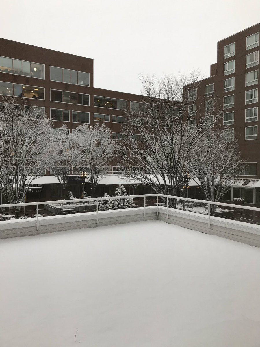 Paula O'Brien (@obrienmannion) on Twitter photo When dreams seemed like a fairytale! And I do not mean the snow ☺️. Wonderful spending day one of two exploring leadership communication in Boston. Thank you <a href="/FNightingaleF/">Florence Nightingale Foundation</a> for a strengthening my leadership for my role <a href="/one_welbeck/">OneWelbeck</a> When dreams seemed like a fairytale! And I do not mean the snow ☺️. Wonderful spending day one of two exploring leadership communication in Boston. Thank you <a href="/FNightingaleF/">Florence Nightingale Foundation</a> for a strengthening my leadership for my role <a href="/one_welbeck/">OneWelbeck</a>