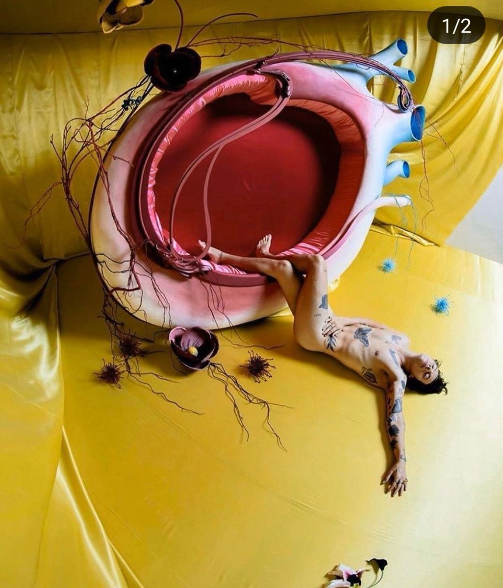 Fine Line is like the Bangerz era of Miley Cyrus for Harry. IT IS FREAKING BEAUTIFUL. #harrystyles #mileycyrus