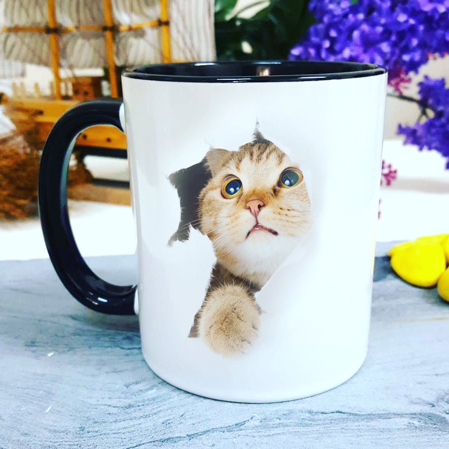 Ah şu Olur olmadık yerlerden çıkan miyavlar yok mu 🤭😁