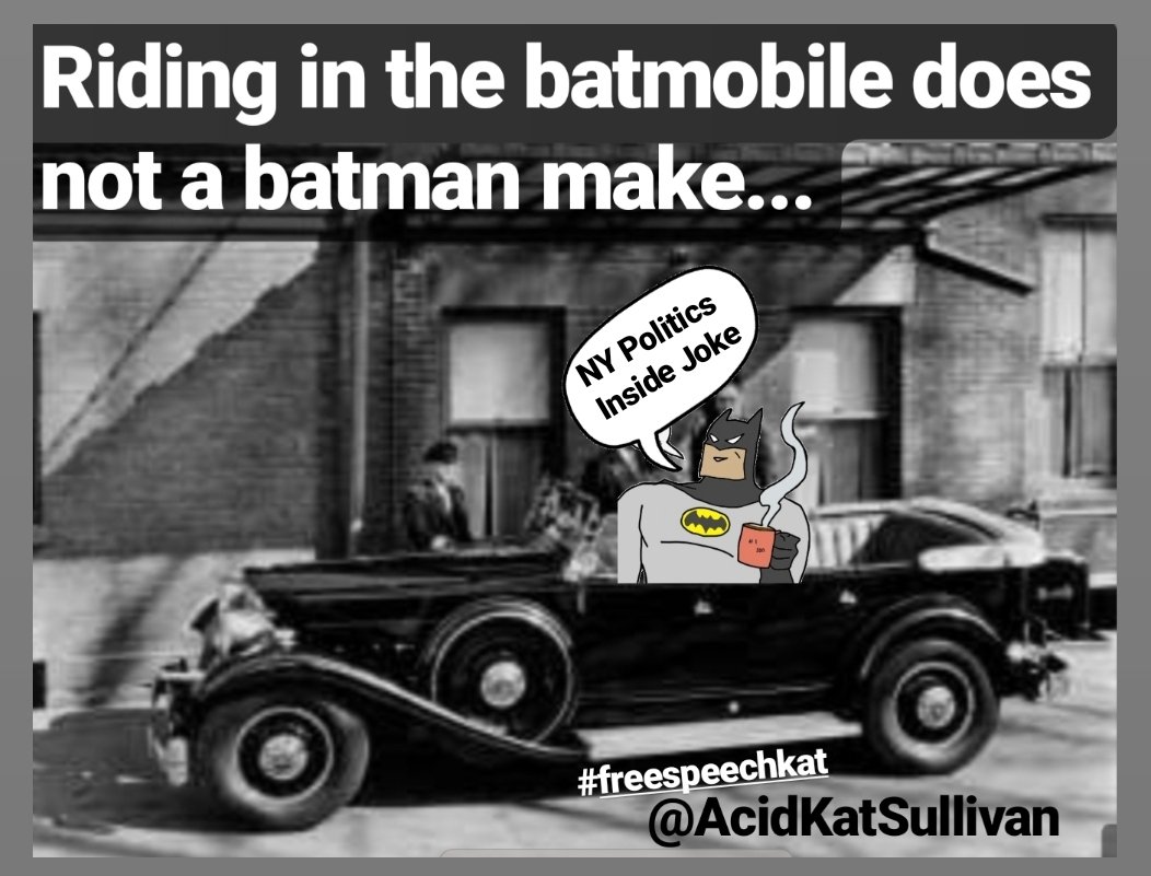 AcidSullivan's tweet image. Probably cut out EGO/Suring up REELECTION spending? 

I know how to save NY at least A MILLION DOLLARS!!!

*RNs should occupy at least 30% of elected positions #logicINaction