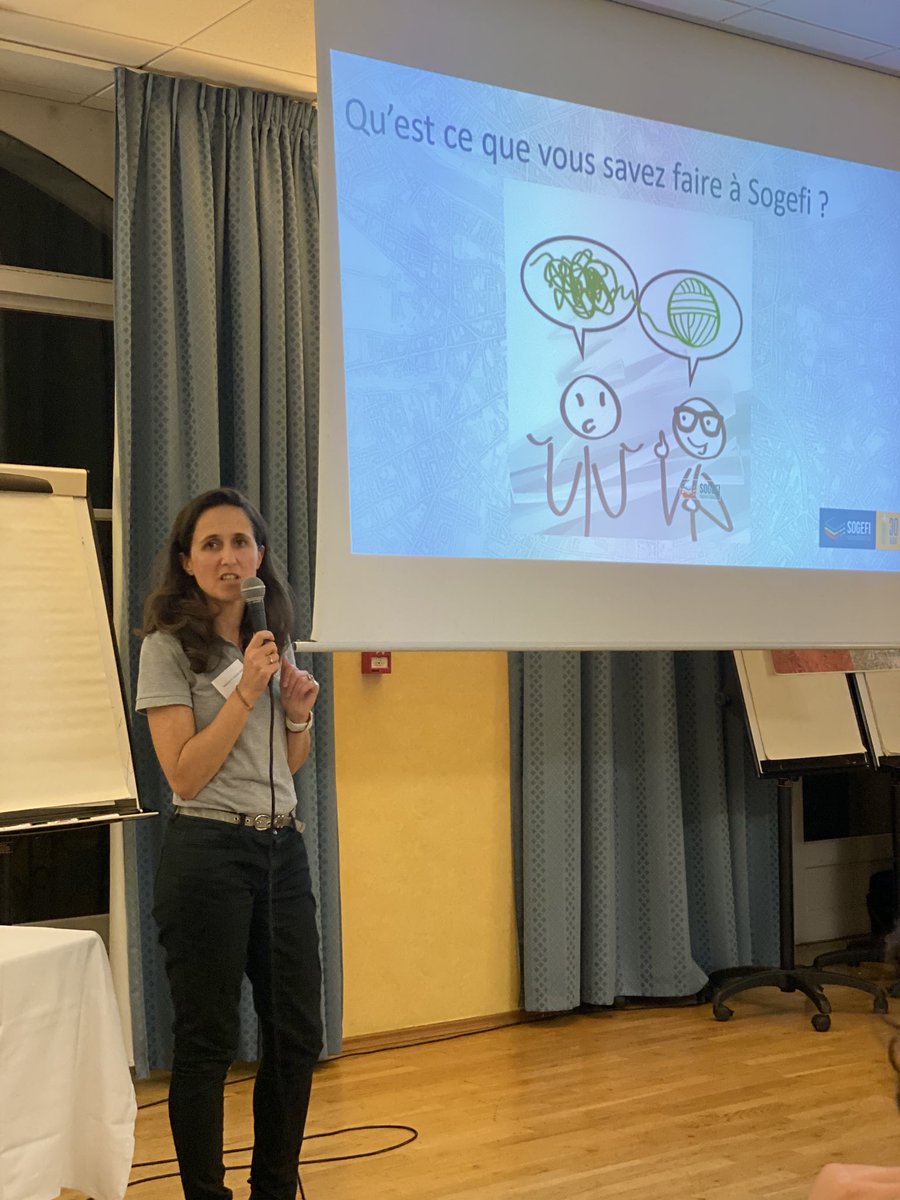 ⁦<a href="/SOGEFI_France/">SOGEFI</a>⁩ 30 ans à remettre en ordre vos préoccupations geomatiques !