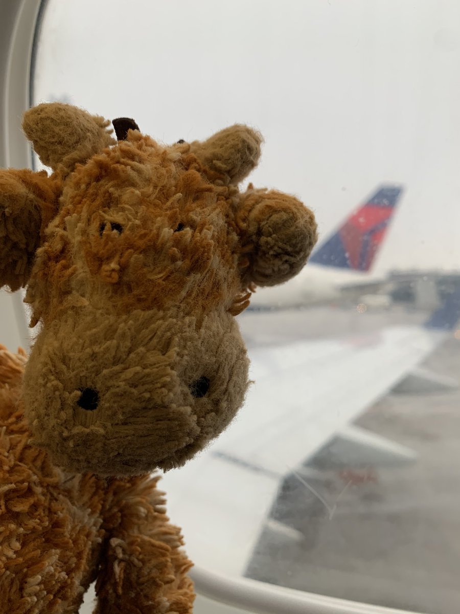 alisontwiky's tweet image. Made it safely to DC. Remembered all the important things like Softie the giraffe (P insisted), lip balm, snacks and my um, searches all bags and pockets frantically - no work ID. Sigh.
#remoteworkproblems
