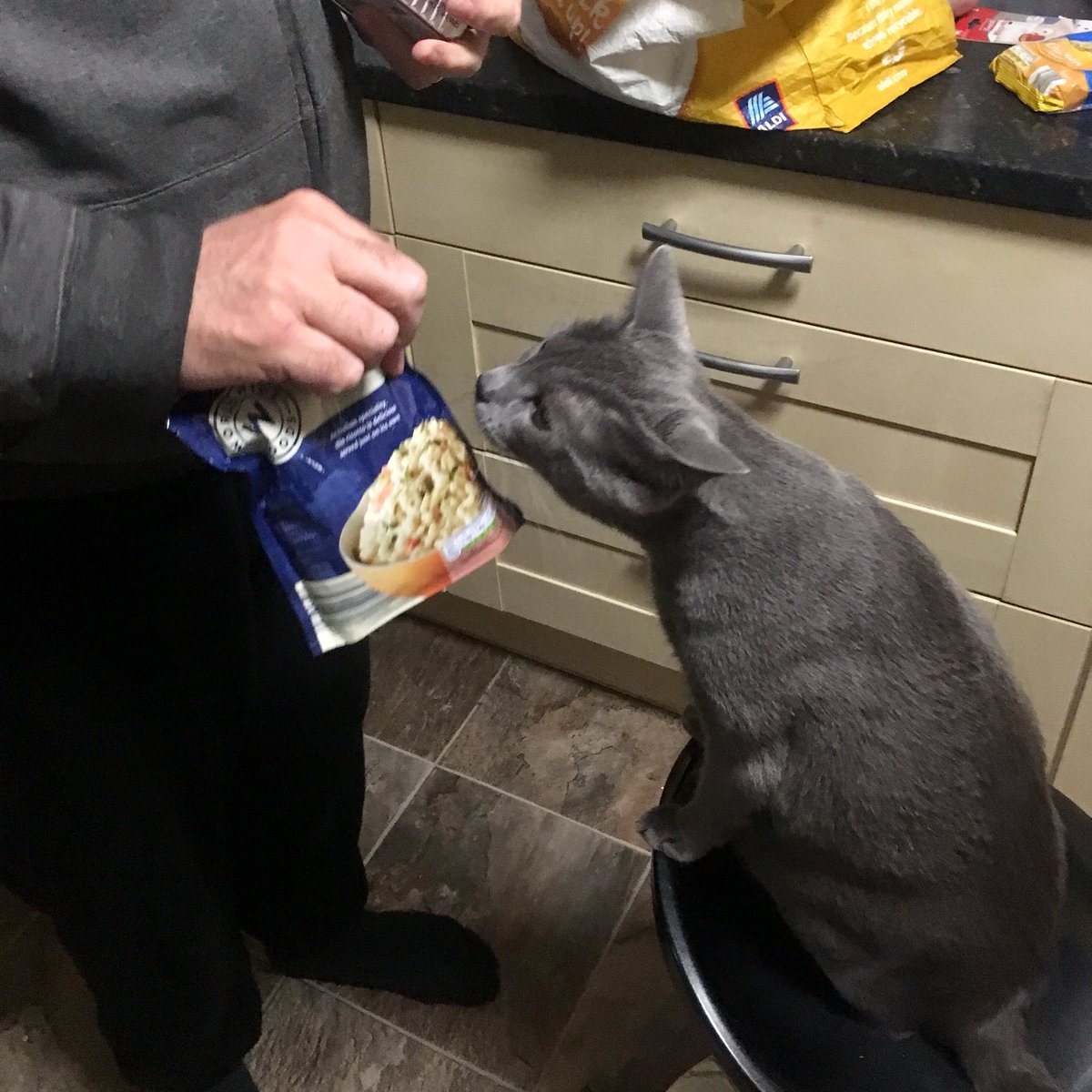 my dad who “didn’t want a cat” showing Lucas every item of the weekly shop because “he wants to see what we’ve got”