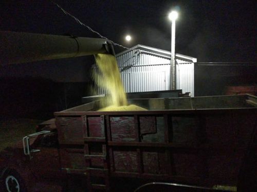 Martin_Crest's tweet photo. Nice night for ice skating… #Harvest19 #OntAg
#BBMotion #Instagram https://t.co/8nEcq9nppj

https://t.co/iRkpKJoThj https://t.co/0zjMGSnzzc