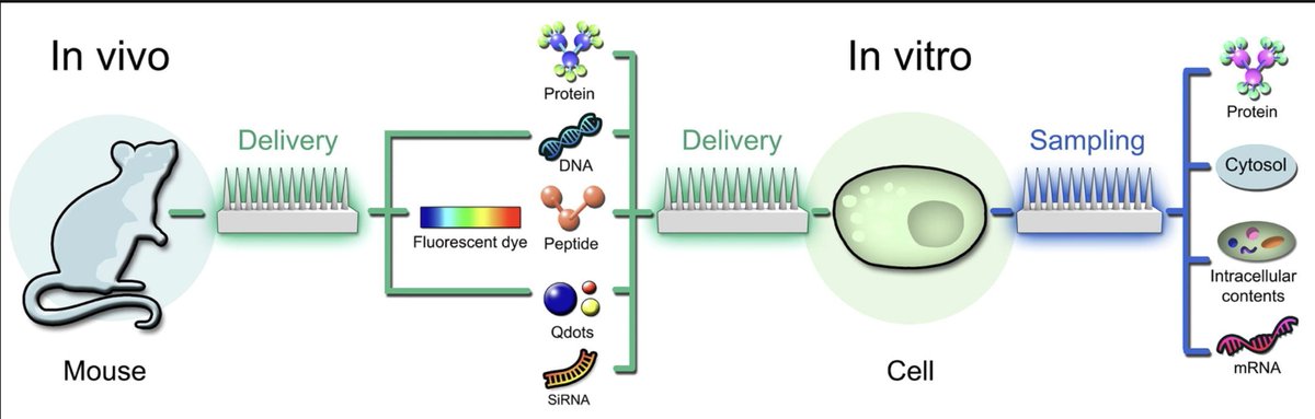 voelcker_lab's tweet photo. #voelckerLab2019pubs

We recently reviewed #innovative applications that show the repertoire of #nanoengineered arrays as highly efficient, universal, scalable #intracellulardelivery and #sampling platforms, with prospects for clinical translation.

👉🏻https://t.co/cy0etJKpzx https://t.co/75Zf4ZG4eF