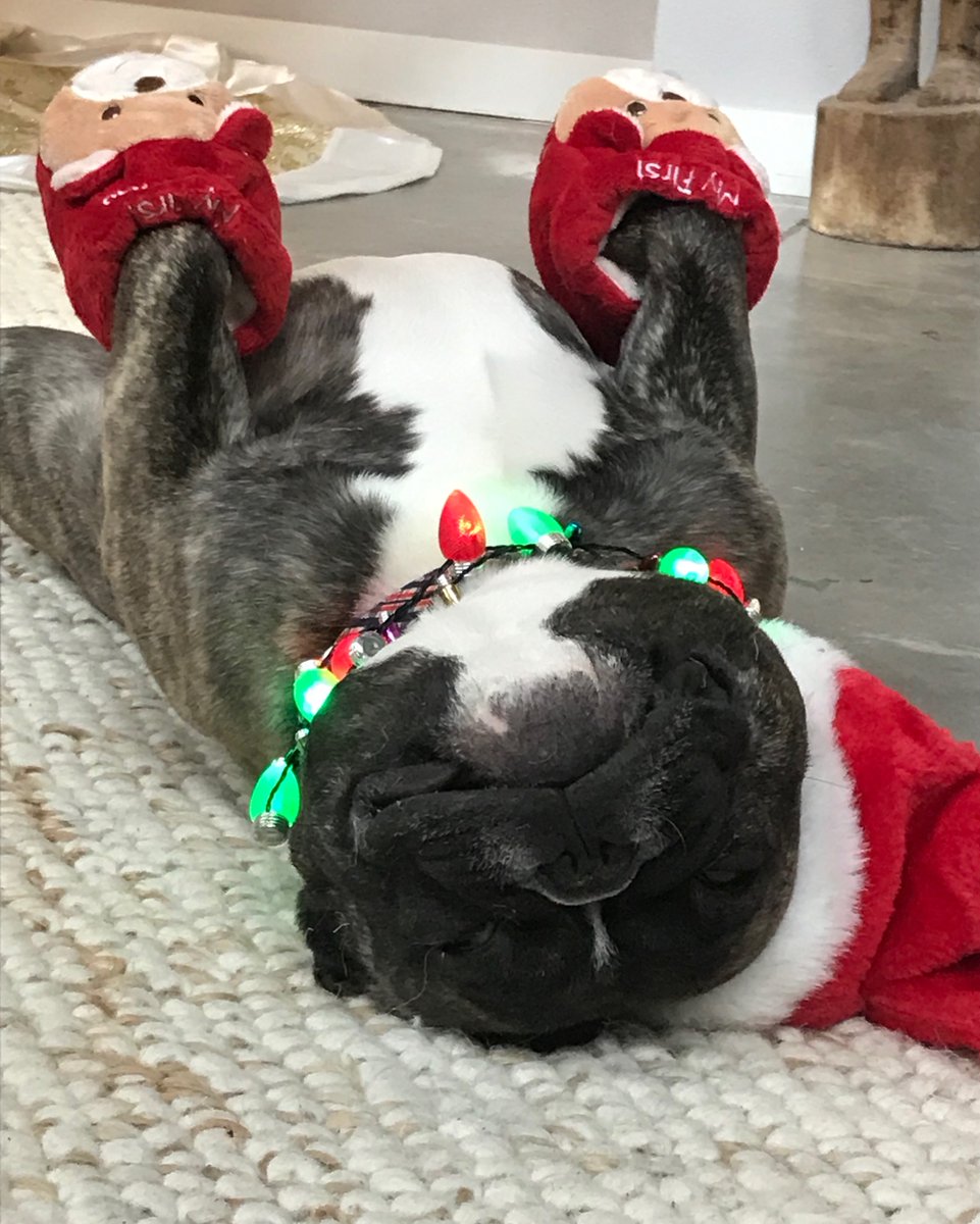 This Saturday, December 14th is our HDY Christmas party! 
PLUS-- Art Show with Cread Bayliss 
Come &amp; Go from 8 pm- 11 pm at HDY
bit.ly/36kiTo2