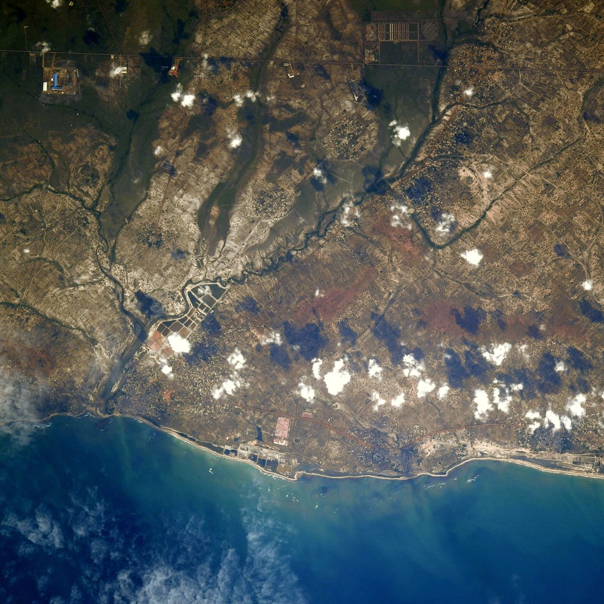 Christina H Koch tweet media