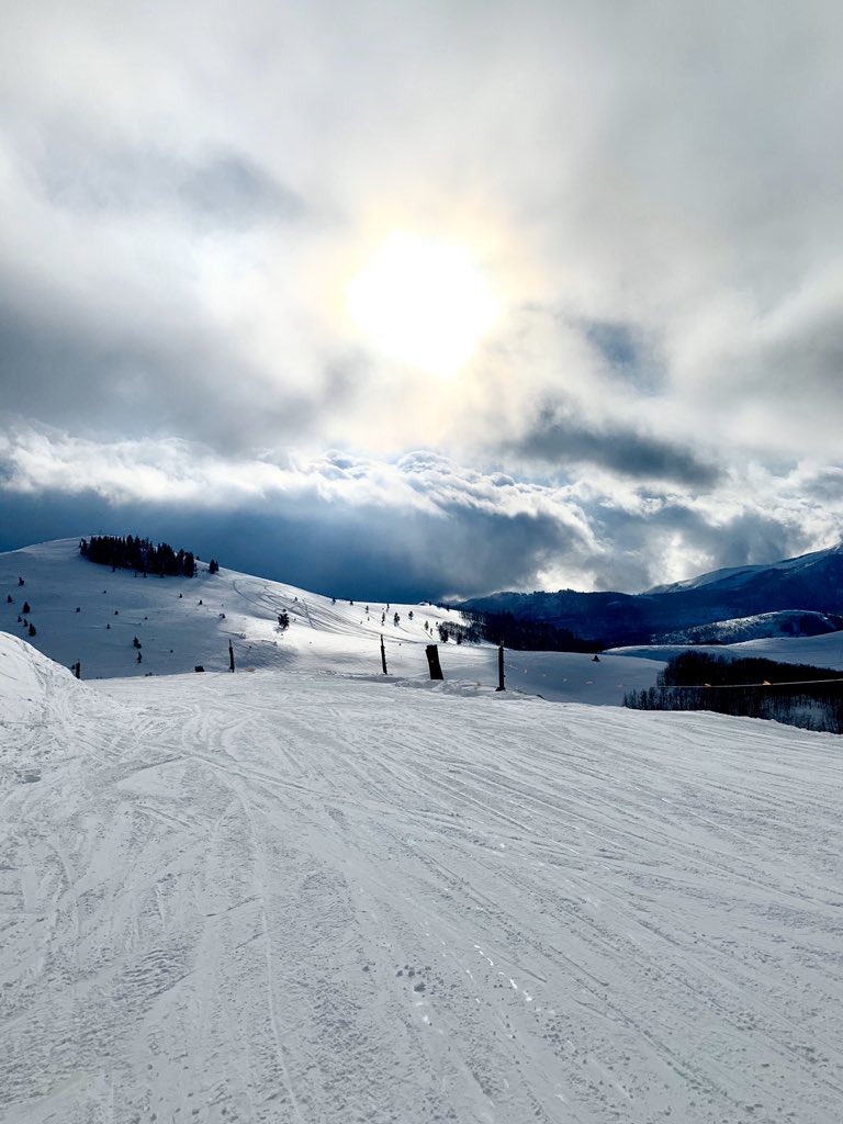 Victoria Peppiatt tweet media