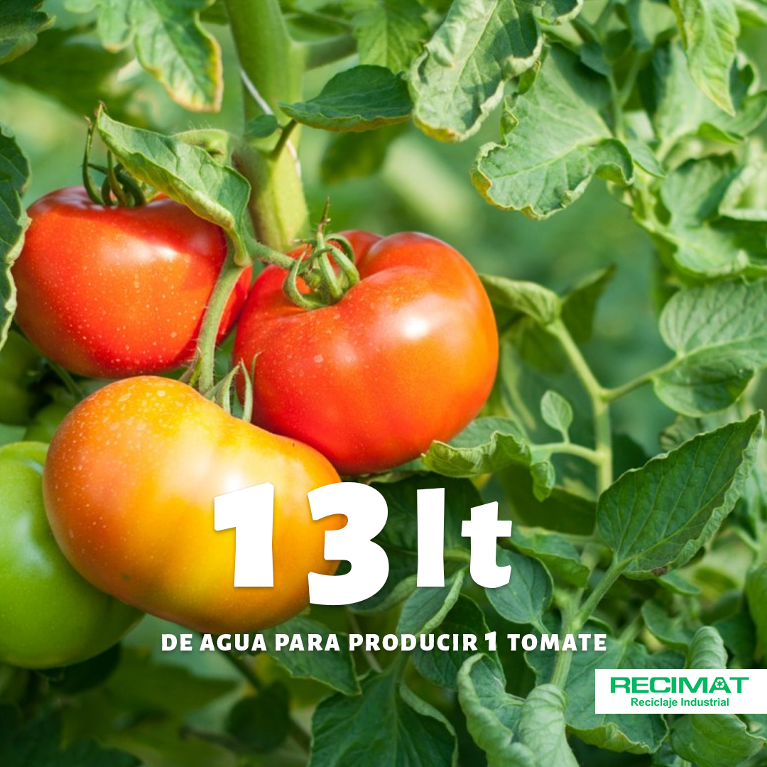 Recimat_'s tweet photo. Cuánta agua se necesita para producir un tomate? O qué cantidad de se contamina al armar un celular? La #HuellaHidrica es la medición que determina cuanta agua del planeta cuestan los bienes y servicios. https://t.co/vsktFZu0lE