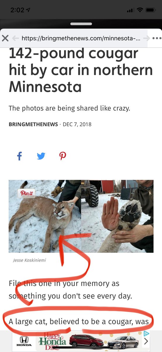 FEARLESS OUTLAWS tweet media