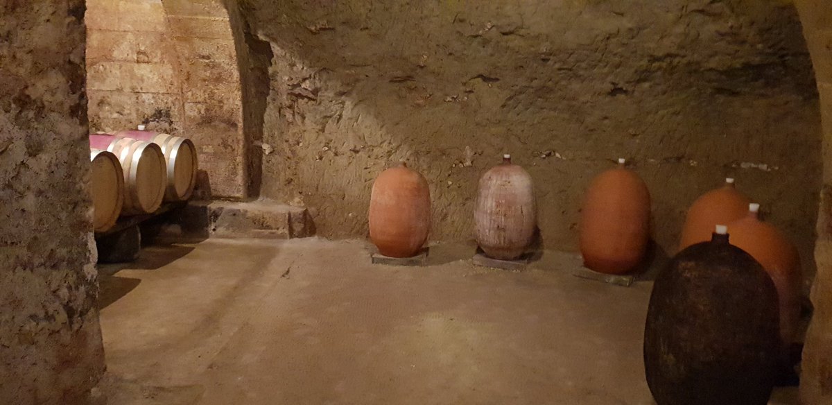 Le millésime 2019 #SaumurChampigny Clos des Oratoriens peut vieillir en toute sérénité