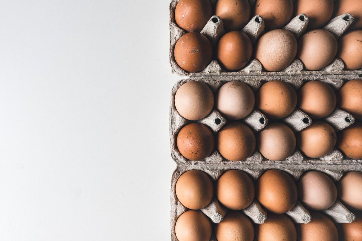 MesaDeEstacion's tweet photo. 🥚No se deben lavar nunca los huevos antes de guardar en la heladera, ya que favorece la contaminación microbiana del exterior al interior a través de los poros. Si detecta un huevo sucio se puede limpiar con un trapo en seco o con un cuchillo limpio. https://t.co/oD8dIYvmQ5