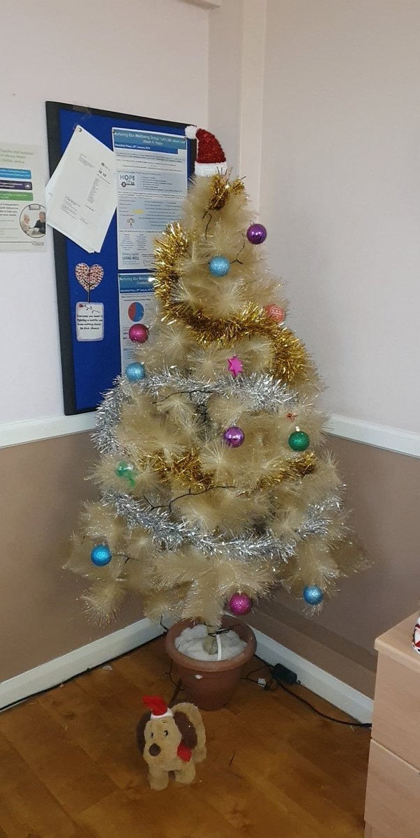 First Tree up at #StansfieldPlace a very generous donation with our unit Christmas Dog Stan 😁🎅🏻🐶 <a href="/Taylor18Olivia/">Olivia Taylor</a>