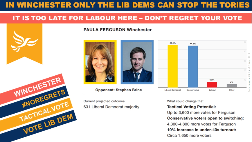 DemIdeaDems's tweet photo. In Winchester only a vote for @LibDems and @PaulaWFerguson  can #StopBoris

Imagine what it would feel like to wake up having denied Boris Johnson the power he craves; in Winchester you can.

#VoteLibDem
#noregrets https://t.co/AID7afn9ab