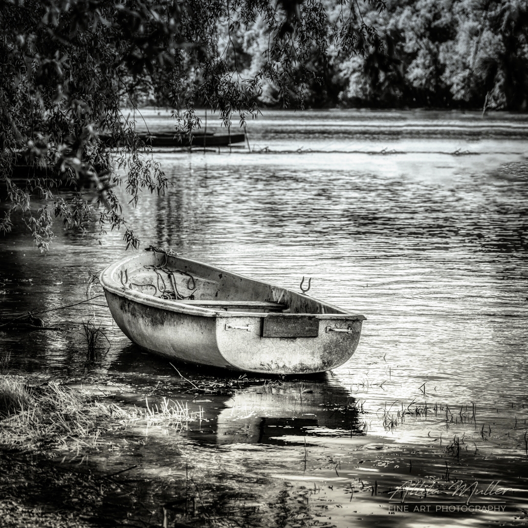 Flooded II...
#water #river #waves #reflection #boat #wave #trees #rain #bw #bnw #noir #monoart #blancoynegro #fineart #kunst #schwarzweiss #finearts #abandoned #stilllife #stilllifephotos