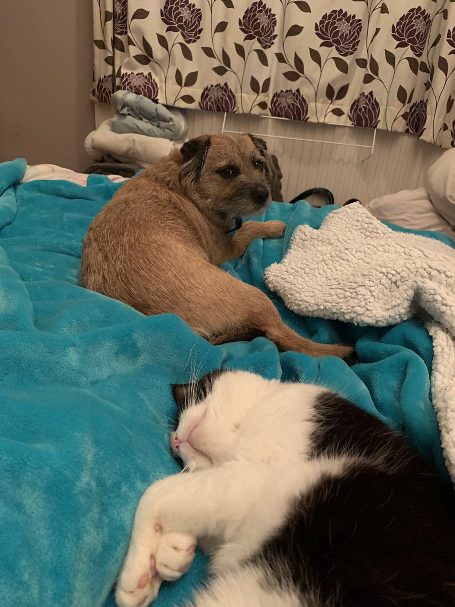 InspJapp's tweet image. Yep. I am not happy about this Ma!