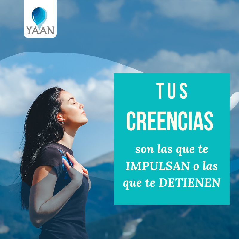 consultorioyaan's tweet image. Las creencias se construyen a lo largo de nuestra vida a través de la cultura que nos rodea. Definen como actuamos día a día y como son nuestras relaciones con los demás. 
#CreenciasPoderosas #CreenciasPositivas #CreerEnTi  #Psicologia #Creencias #Psicologo #Mindfulness