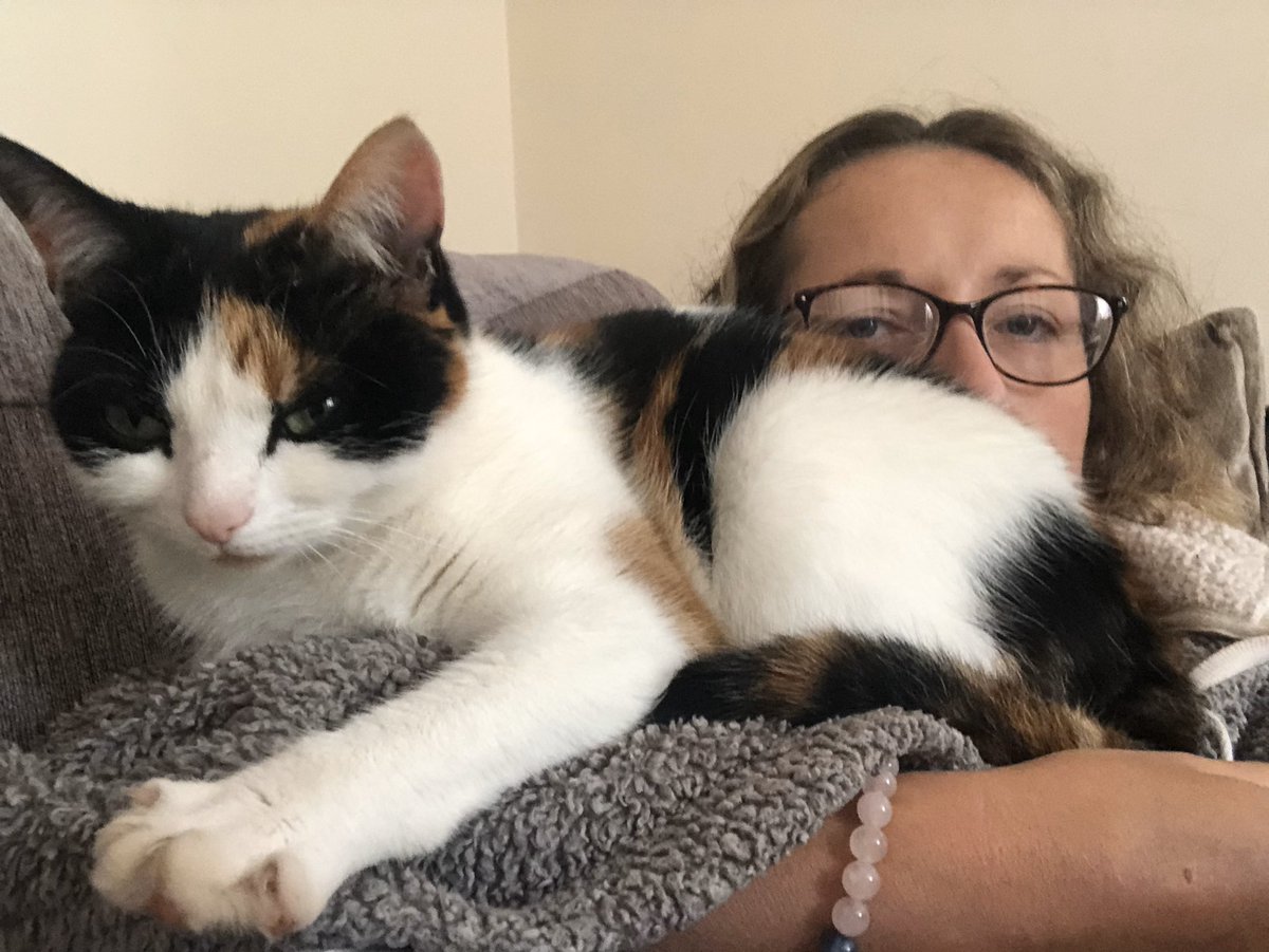 Wanted to introduce you guys to a few members of my family. There is my mum and my #humansister Tilly, then there is old cat Zorro, ginger #mainecoon Hunter who is a year older than me, and then little KitKat, who is a feral cat we adopted at 5 weeks old when she was rejected.