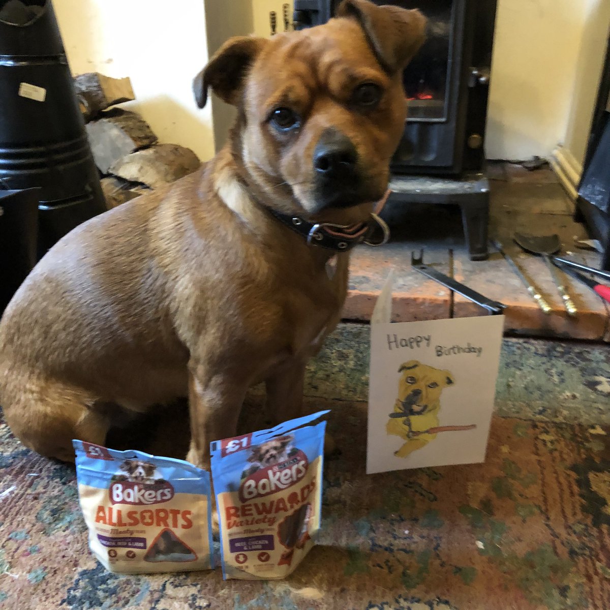 As a #patdog with <a href="/PetsAsTherapyUK/">Pets As Therapy</a> I visit Great Oaks Mental Health Hospital. I LOVE my job. I love meeting people and trying to help them feel just a little bit better, without judgement, just love. This is a birthday card that a patient made for me on my birthday! I got treats!