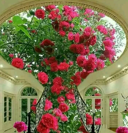 saharmoon2's tweet photo. https://t.co/h3WYhZyxDc