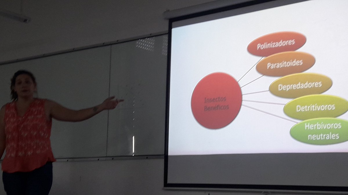 R-Ladies Santa Fe tweet media