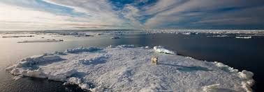 If we take good care of #nature, nature will take good care of us. #sustainability #biodiversity #agriculture <a href="/WWF/">WWF</a> #MBDNature #Arctic