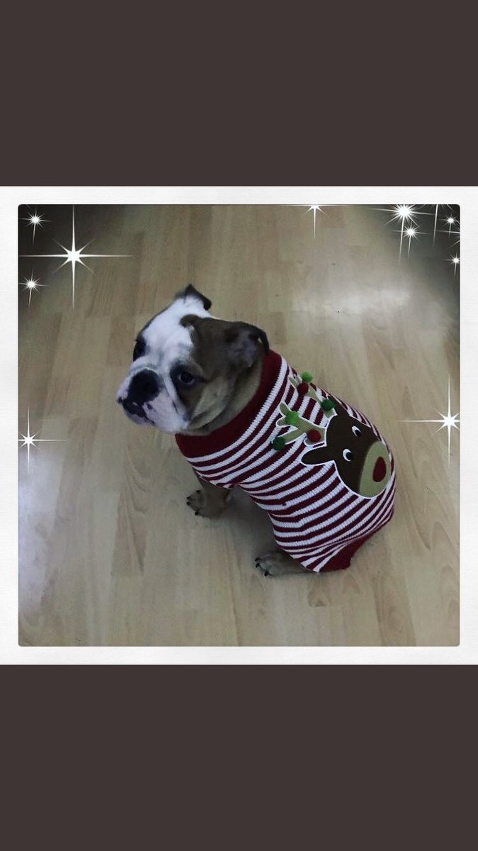 emmyd30's tweet image. #Bombki12Days 🎄💕