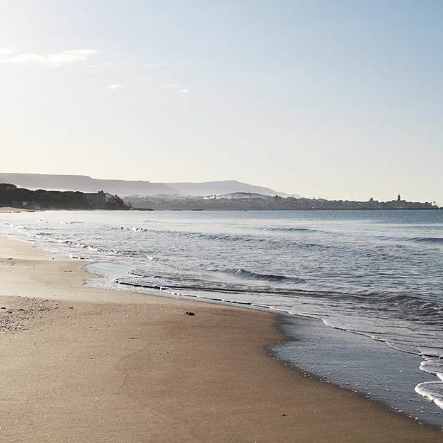 algherodamare's tweet photo. Qua è così ... la mattina presto si va a camminare e poi ... #algherodamare #alghero #dillechelami #sardegna #isoladelleeterneprimavere #travelphilosophy #lifeisbetteronthebeach #beachwalking > https://t.co/glS9SCjuFB https://t.co/JqxG3nn9dW