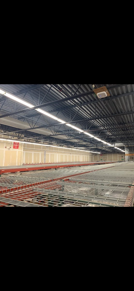 Did someone say bounce back?

#thegreat2498 #d167levelup #G194doesmore #2498twittertour #d167atitagain #WWABD #d167lookslikeheaven