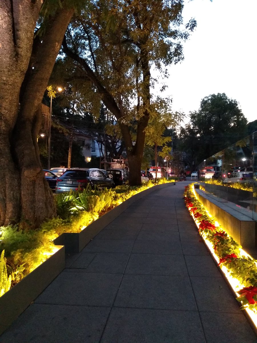 pebeca's tweet photo. #elcaminoquellevaaBelen https://t.co/14SC9g6PcT