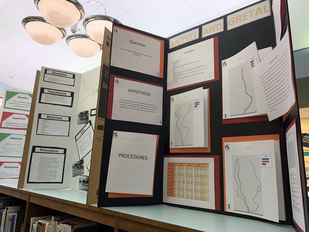 EmilyWilsonMCPS's tweet photo. Itโs #sciencefairseason! ๐๐ป Come check out the amazing projects produced by our Ss that are on display in the #WPHSlibrary. ๐งฌ๐ฌ๐ฆ #steaminaction #projectparty #librarylife #scienceinthestacks https://t.co/4oejBTAyL6