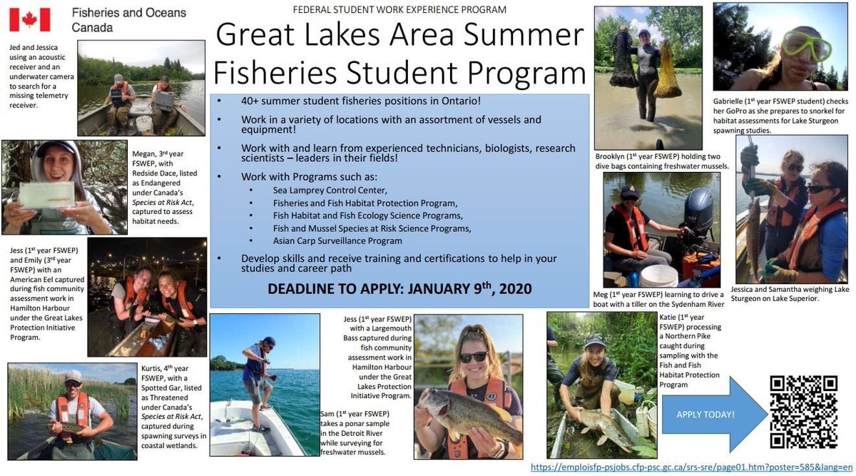 JasonBarnucz's tweet photo. Applications now being accepted for the Great Lakes Area Summer Fisheries Student FSWEP Program w @FishOceansCAN for 2020. Positions in #BurlingtonON and #SaultSteMarieON. 
Closes: Jan9/20
Link:  https://t.co/W9CuuaTPmB…
#GreatLakes #student #Science #Fisheries #employment https://t.co/vDraGoQvrK