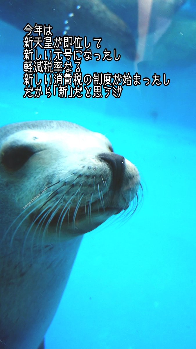 ほごご 今日は いい 1 字 2 一 1 字 2 の語呂から 漢字の日 なんだそうです マリンピアの動物ｻﾝを漢字で書くとこうなります ゴマフアザラシ 胡麻斑海豹 アシカ 海驢 トド 海馬 ビーバー 海狸 カワウソ 獺 ラッコ 海獺 イルカ 海豚 ペンギン 人鳥