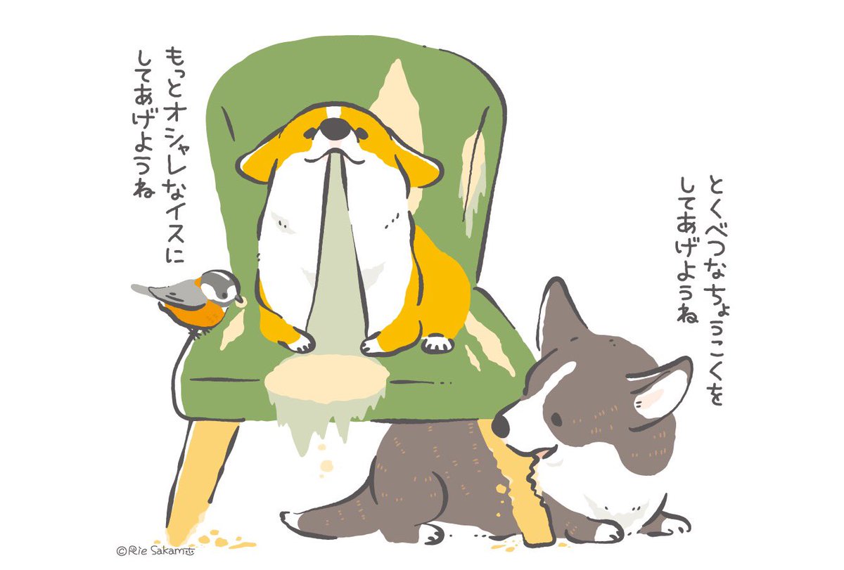 イスをオシャレにデザインするコーギーとヤマガラ
#corgi #コーギー #イラスト #コギまるけ #野鳥 #ヤマガラ 