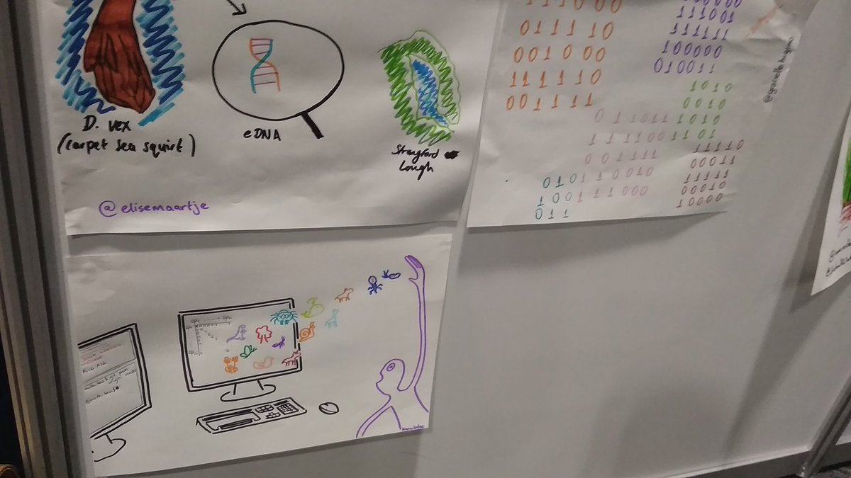 math_bess's tweet photo. Develop your creative part with #drawyourstudyorganism at #bes2019! And enjoy your creativity! <3 https://t.co/s3XGqqsFjI