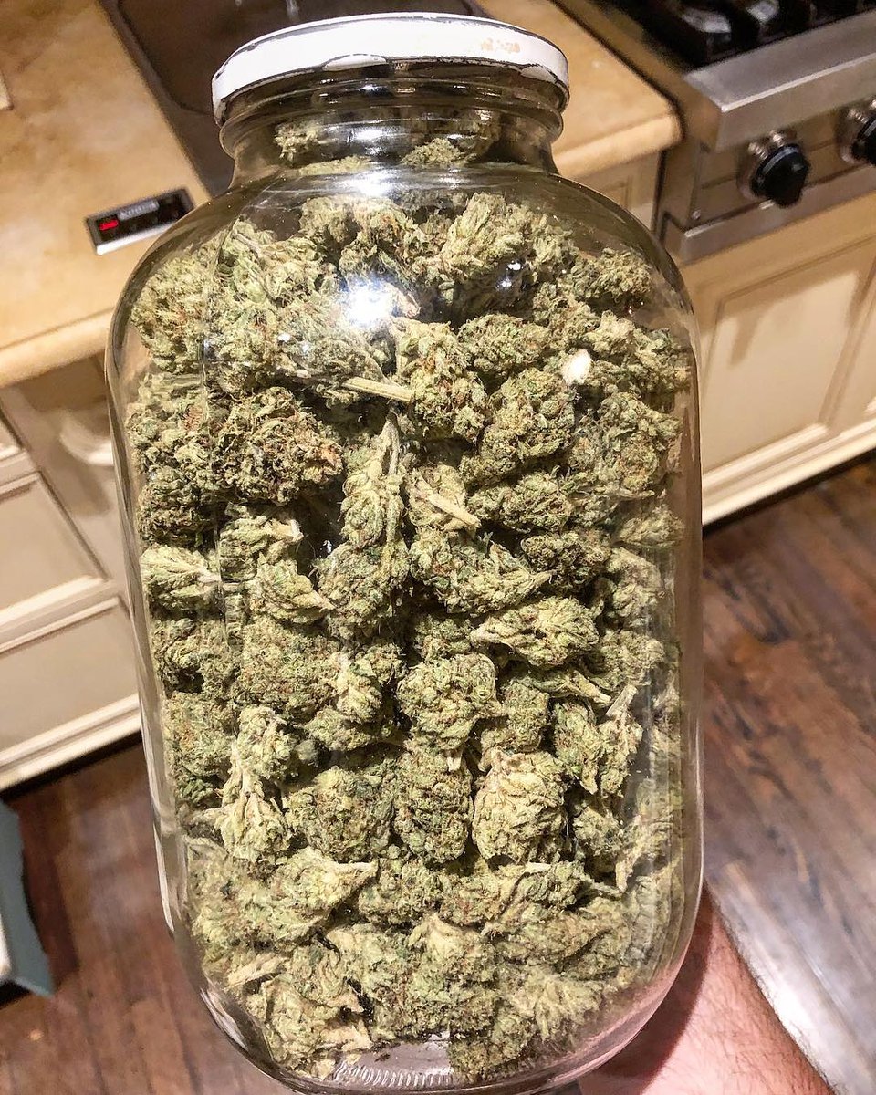 LukeMarone's tweet photo. Who wants this jar of goodness?
#newyorkweed #queens #longisland #sydney #weednewyork #nycdelivery #nycweed #newbrunswickweed #glasgowweedsmokers #weednyc #nycweedman #nycweedguyz #nyweed #newjerseyweed #newweedorder #newyorkcityweed #newmexico #southbeachweedplug #miamiweedplug https://t.co/tsWUPZPcp1