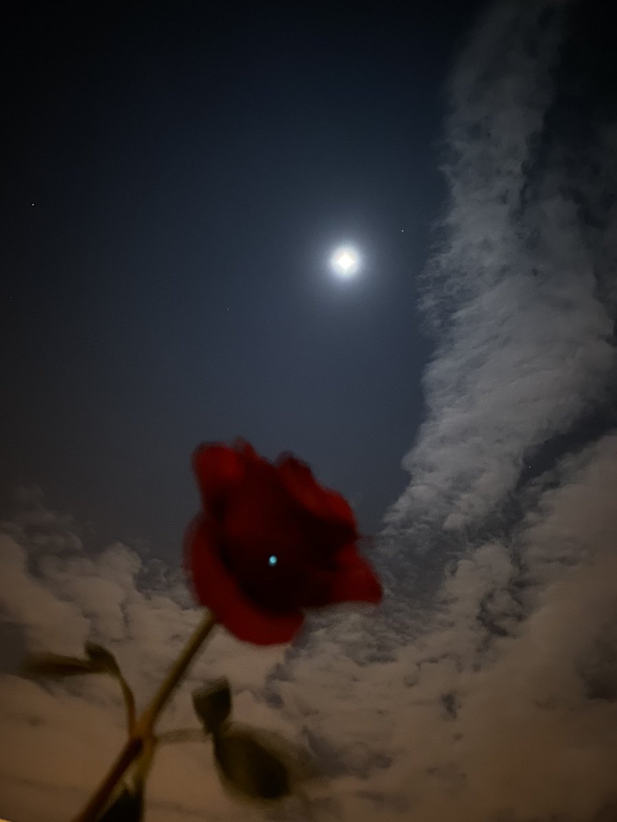 #القمر

فيـه من السماء لمحه غيم و ضـيّ قمر 🖤