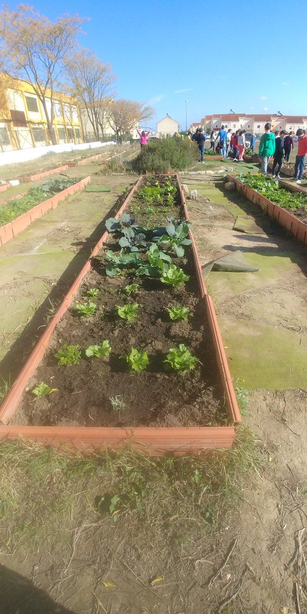 Marta07190715's tweet photo. Hoy hemos ido al huerto a quitar malas hierbas y regar. 🌱🌱@MaraLuisaMoren8 #Prácticas3B2019 https://t.co/j8GRoVeD16