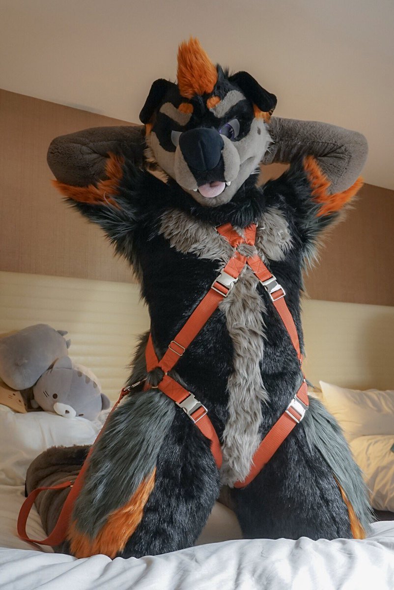 knottyrok's tweet photo. Alright, I feel pretty stupid making this account months ago and not doing anything with it. Time to start posting my little backlog of pics. https://t.co/5f9bQm6k6e